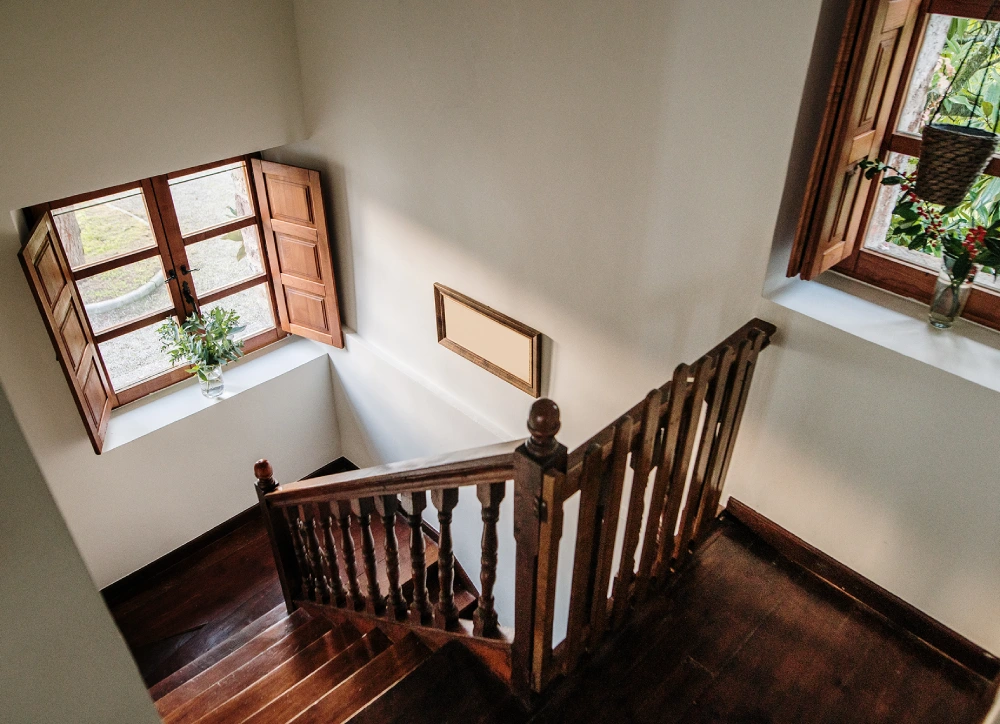 Cozy staircase with decorative plants
