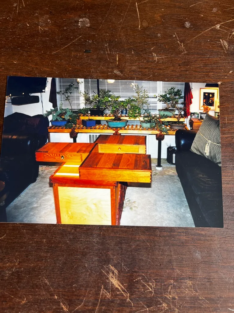 Wooden coffee table with potted plants behind.