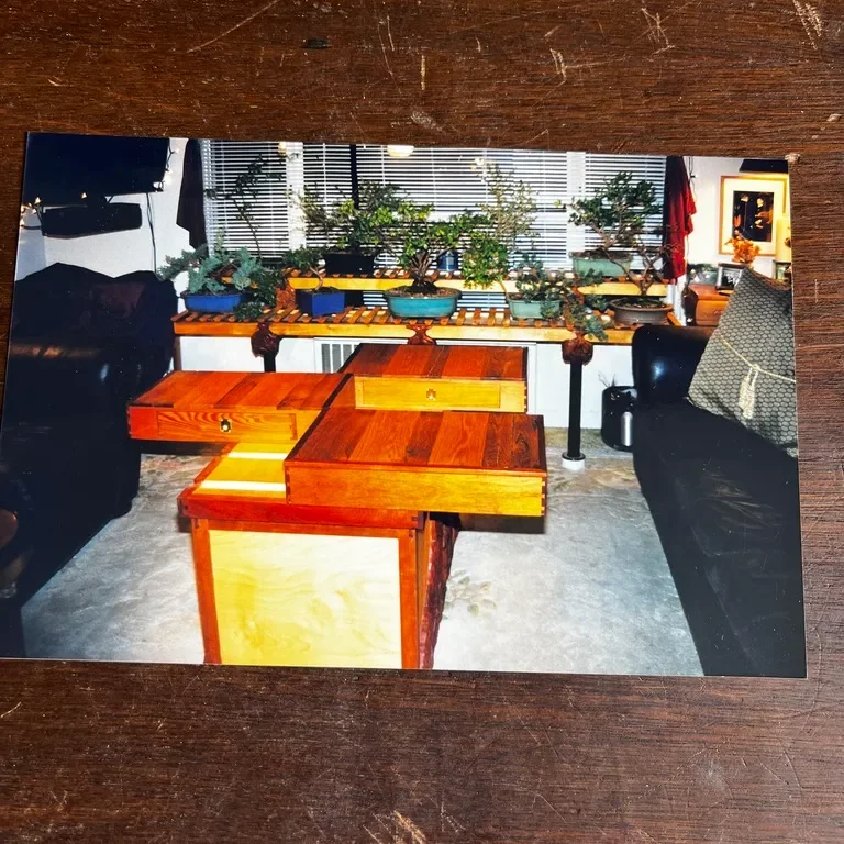 Wooden coffee table with potted plants behind.